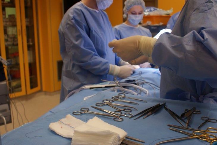 Life Behind the Scalpel